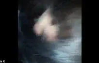 صديقة الديوث يعطيني creampie جيدة مع حزام على.