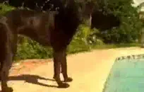 بي بي سي يجعل غنيمة كبيرة في سن المراهقة كس بخ.