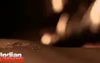 أمريكا المشاغب آبي لي مارس الجنس في مؤخرتها قبل النوم.