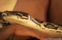 ميا خليفة لها كس مشعر تفعل بعض المتشددين اللعنة dp.