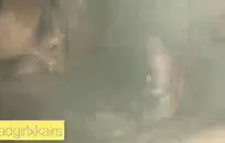 صغيرة شقراء في سن المراهقة مع ركوب الدهون الحمار ويحصل الشرج creampie.