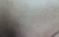 شقراء الساخنة في سن المراهقة مارس الجنس من الصعب في المنزل مع شاعر المليون الوجه ضخمة.