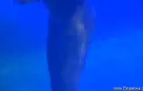 فكرت في امرأة سمراء جميلة بمؤخرة جميلة كبيرة.