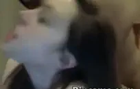 Nubilefilms مفلس في سن المراهقة أنجلينا بريل مارس الجنس من الصعب في دش.