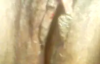 الحمار الأسود السميك الأكل على الأرض.