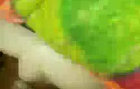 بوف مثير سمراء لديها تجربة أكل كس كبيرة.