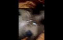 فتاة في سن المراهقة cums أثناء ركوب دسار