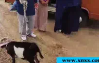 أحمر الشعر الكثيف في سن المراهقة يستمني واللعب مع لعبة الشرج.