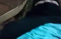 عسل الذهب يحب الطريقة التي ضرب بها نائب الرئيس على وجهها.