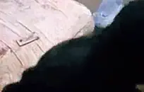 التايلاندية فتاة يستمني على كاميرا ويب ونائب الرئيس الثابت.