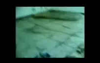 Tatted فتاة التدليك لها العضو التناسلي النسوي وتمتص ديكي.