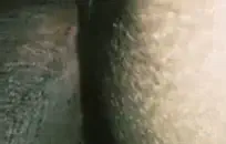 صديقة الملاعين له حفرة ضيقة مع دسار تهتز.