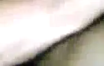 مفلس أحمر رئيس في سن المراهقة الملاعين بوسها مع دسار في كاميرا ويب.