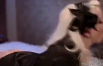 أول مرة أضع قضيبي في فم هذه الفاسقة.