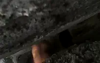 Ftm الملاعين لها الحمار مع دسار كبيرة.