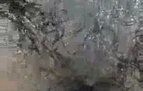 امرأة سمراء مع كبير الثدي مارس الجنس في الحمام.