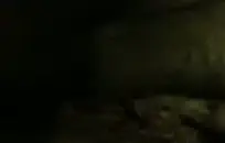 شخ في الفم مع الديك في الأماكن العامة.