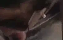 الأبنوس الحمار كبيرة استغل من قبل ديك بينما الزوج الأفلام.