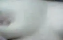 دسم الأبنوس كس مارس الجنس من قبل ديك أسود.