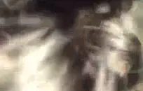 في سن المراهقة الشرج المكونات xxx كبيرة الحلمه المعلم الشرج xxx لطيف.