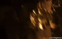 لطيف شقراء فاتنة اللعب مع بوسها على سناب شات.