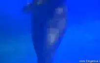 امرأة سمراء مص الديك هي وقحة صغيرة قذرة تحب أن تأخذه في كل من الثقوب.